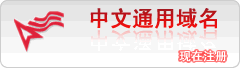 .中國中文域名